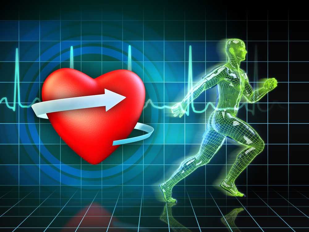 maintain a safe heart rate range