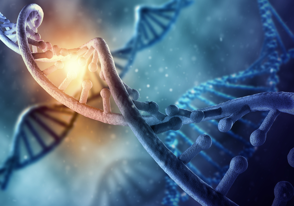 obesity genes and weight gain